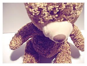 teddy Pictures, Images and Photos