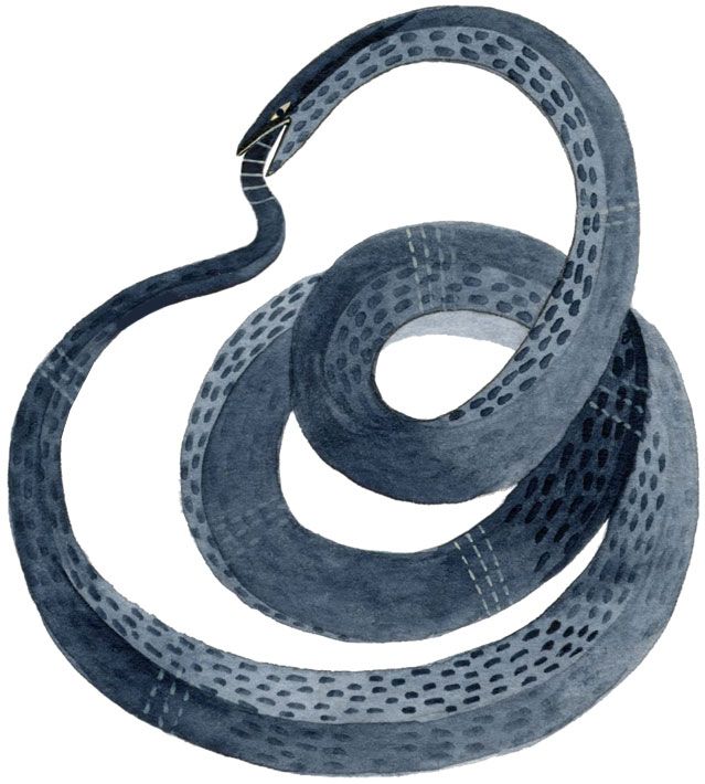 photo ouroboros2_zps3ef30c87.jpg