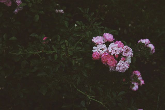 photo ruslandscape6_zpsb466247b.jpg
