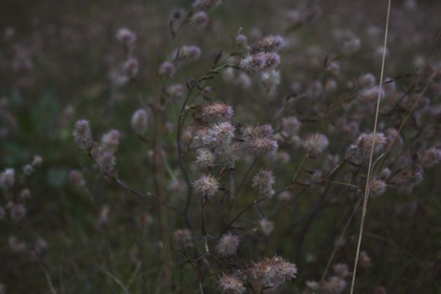 photo ruslandscape8_zpsb41b0f1a.jpg