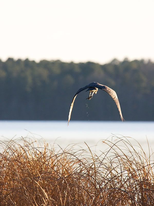 IMAGE: http://i73.photobucket.com/albums/i225/bnnnboy/IMG_1937es.jpg