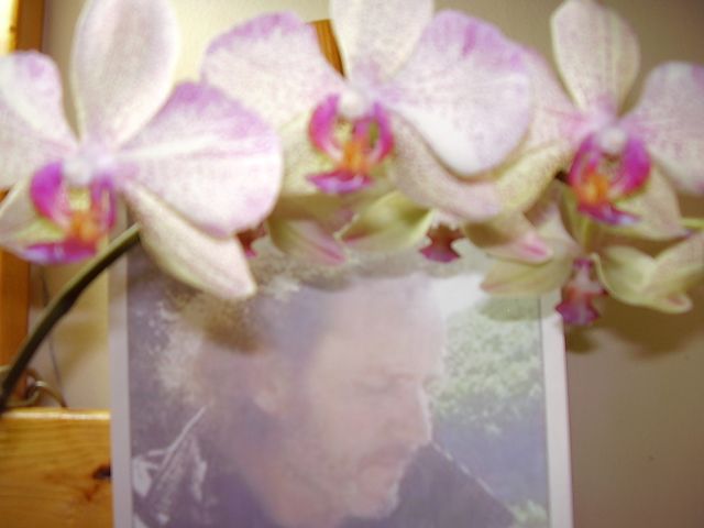 loic b photo loicb003.jpg