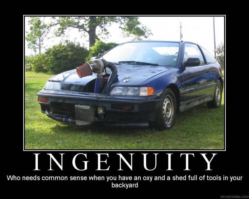 Posted Image