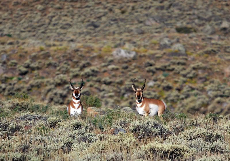 IMAGE: http://i73.photobucket.com/albums/i226/Sidnye/aa2.jpg