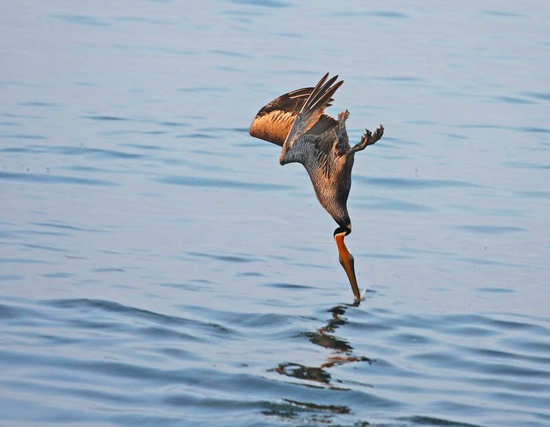 IMAGE: http://i73.photobucket.com/albums/i226/Sidnye/p3-2.jpg