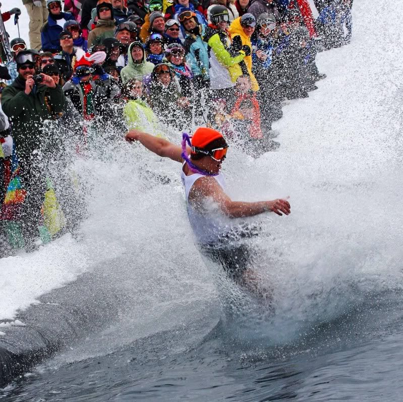 IMAGE: http://i73.photobucket.com/albums/i226/Sidnye/p6.jpg