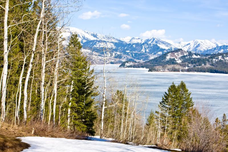 IMAGE: http://i73.photobucket.com/albums/i226/Sidnye/palisades.jpg