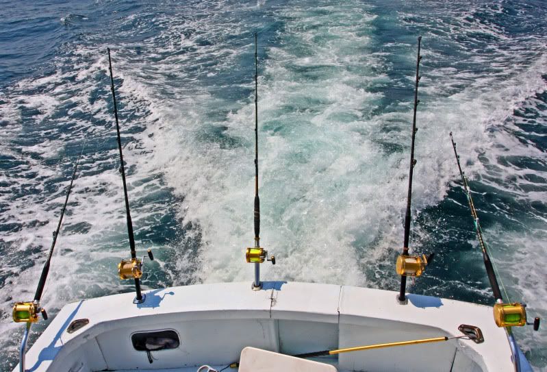 IMAGE: http://i73.photobucket.com/albums/i226/Sidnye/pole.jpg