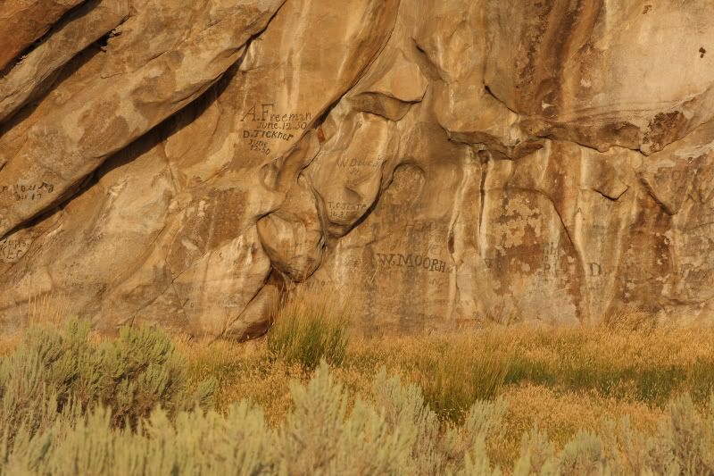 IMAGE: http://i73.photobucket.com/albums/i226/Sidnye/rock.jpg