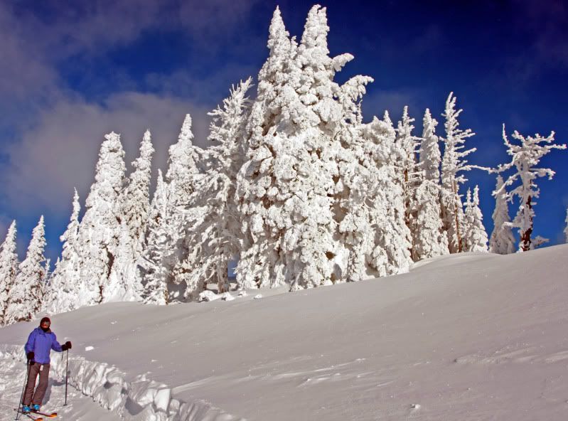 IMAGE: http://i73.photobucket.com/albums/i226/Sidnye/v2-1.jpg