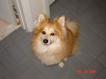 DSC00041-1.jpg