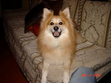 DSC00043.jpg