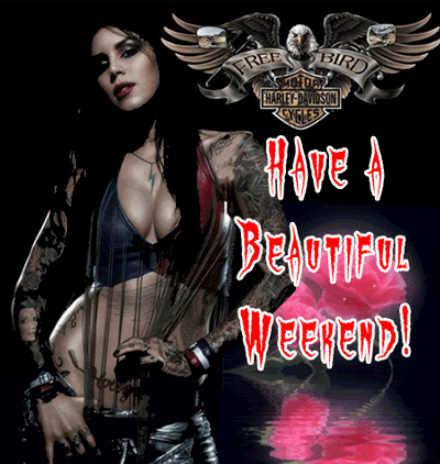 [img width=400 height=422]http://i73.photobucket.com/albums/i229/TabooTabi/anewridingfifteen.gif[/img]