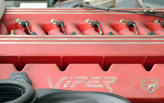 viper teaser