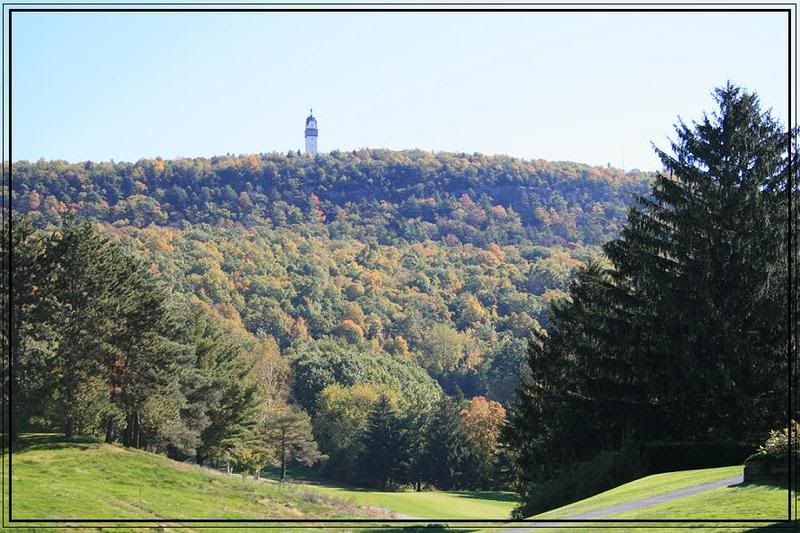 IMAGE: http://i73.photobucket.com/albums/i229/bobohobo/2009.jpg