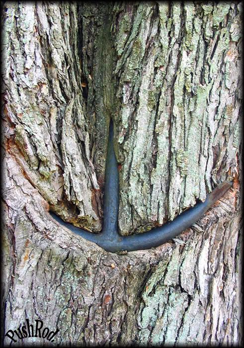 IMAGE: http://i73.photobucket.com/albums/i229/bobohobo/Picture043.jpg