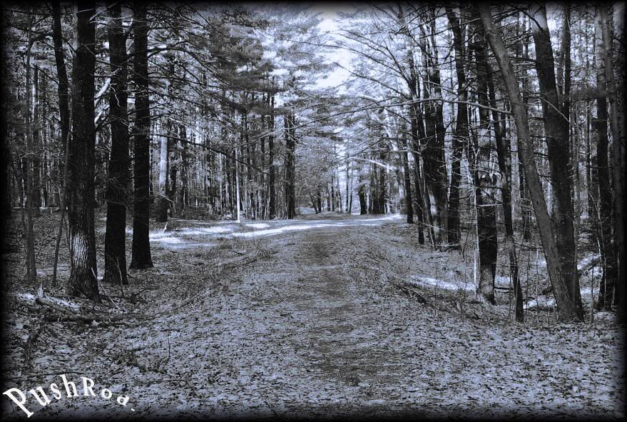 IMAGE: http://i73.photobucket.com/albums/i229/bobohobo/e5yee.jpg