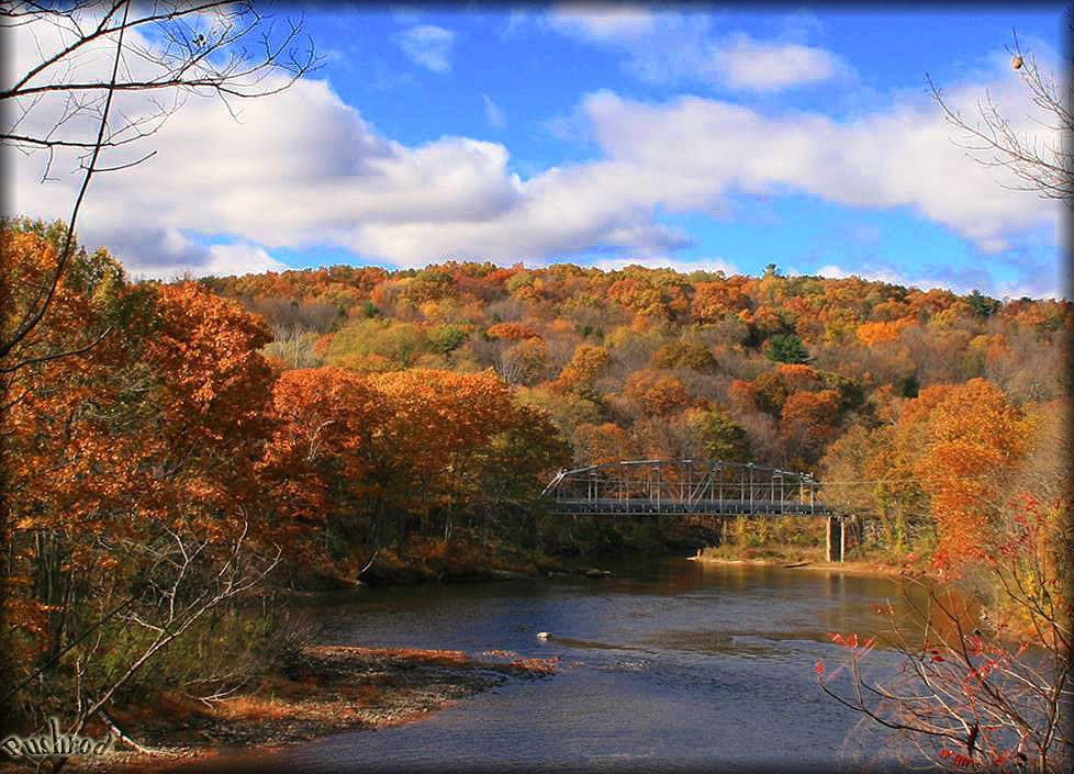 IMAGE: http://i73.photobucket.com/albums/i229/bobohobo/i7gf105.jpg