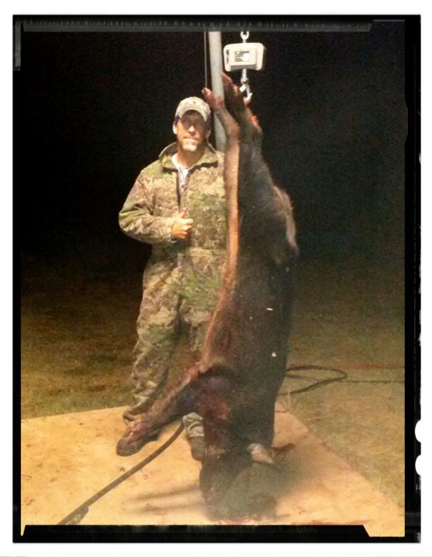 My hog from Red Dirt Boar ranch.........600 pounds! Forums