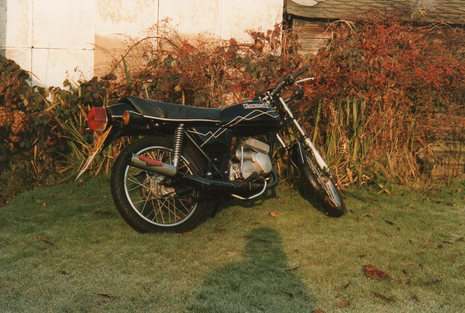 e60affc8.jpg