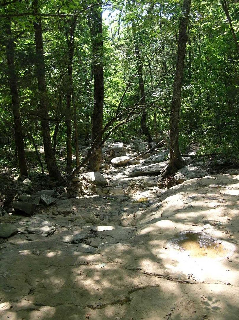 dried creekbed