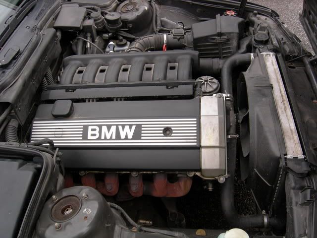 DSCN0610.jpg