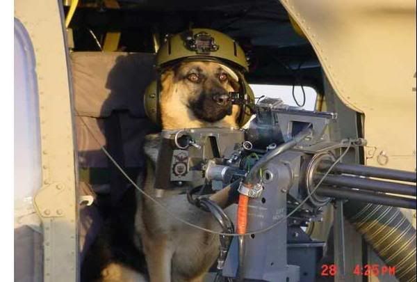 k9gunner.jpg