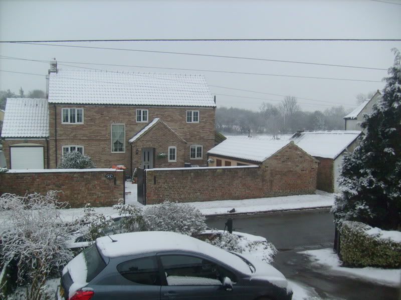 S7300651.jpg
