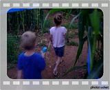Photobucket - Video and Image Hosting