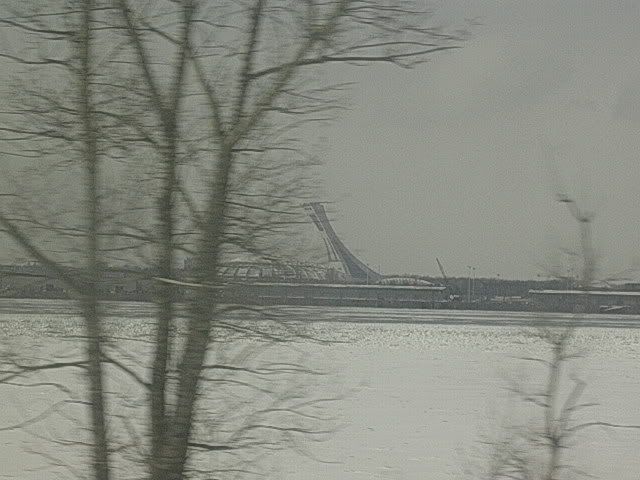 DSCN8396.jpg