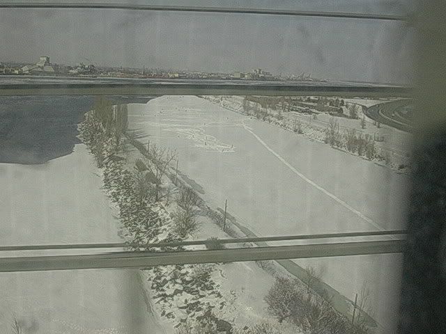 DSCN8398.jpg