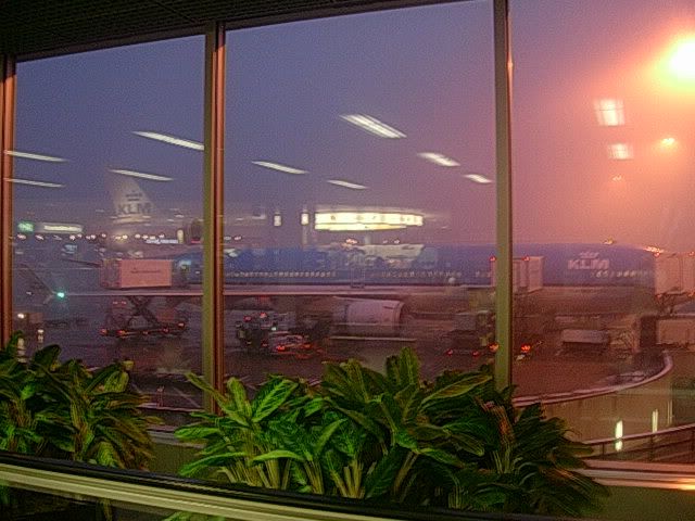 DSCN8476.jpg