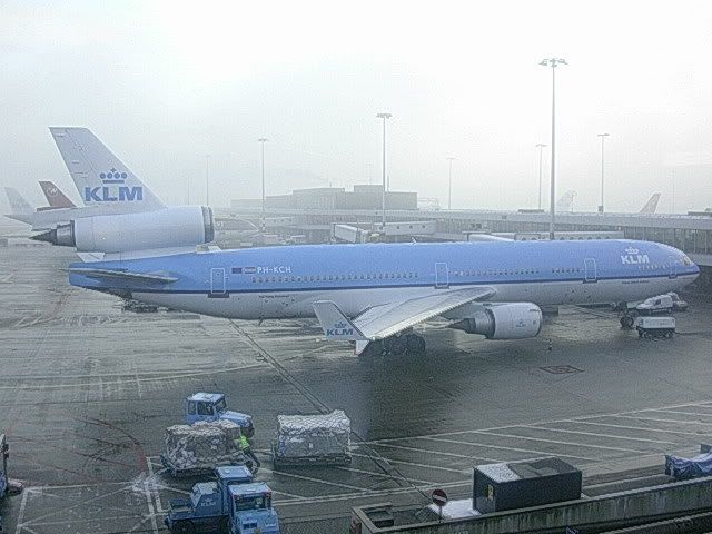 DSCN8488.jpg