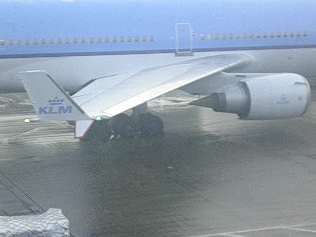 DSCN8489.jpg