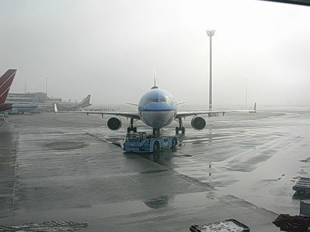DSCN8514.jpg
