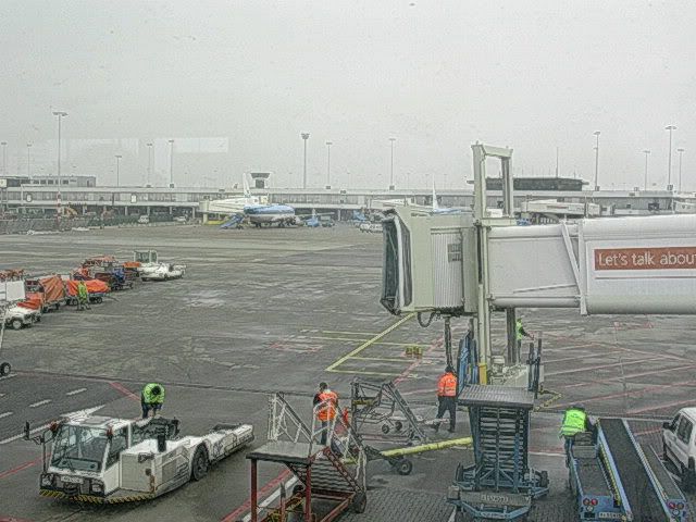 DSCN8519.jpg