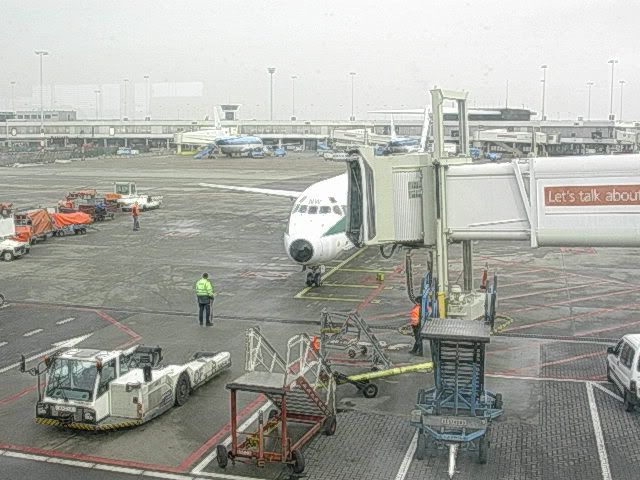 DSCN8520.jpg