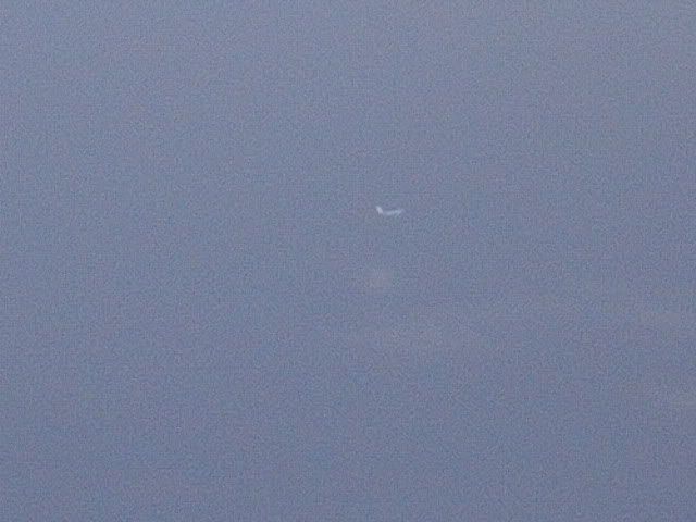 DSCN8544.jpg