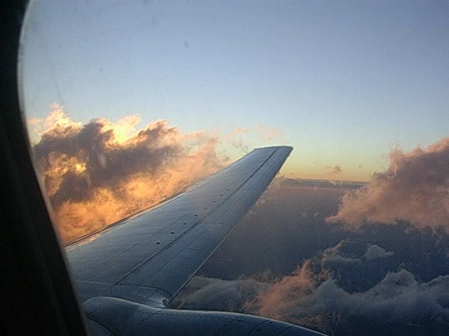 DSCN8637.jpg