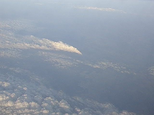 DSCN8679.jpg