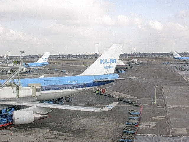 DSCN8731.jpg