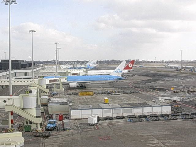 DSCN8738.jpg