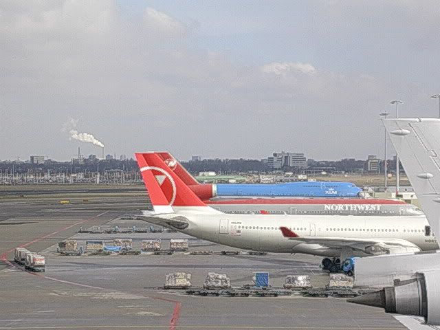 DSCN8747.jpg