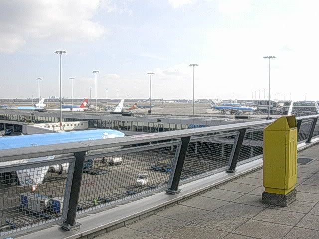 DSCN8748.jpg