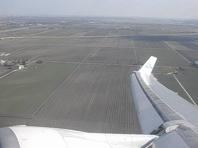 DSCN8781.jpg