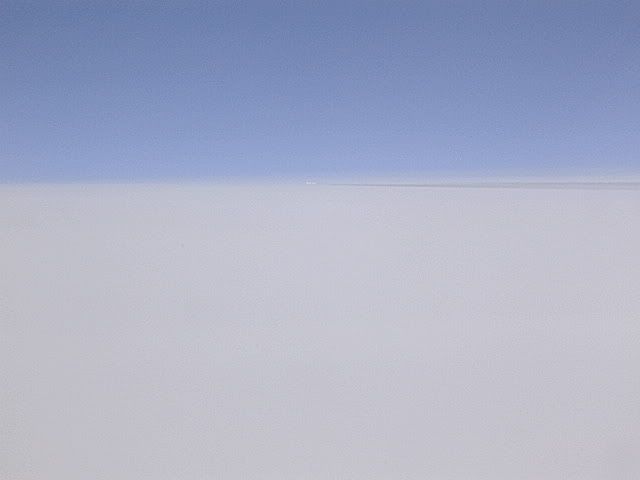 DSCN8794.jpg