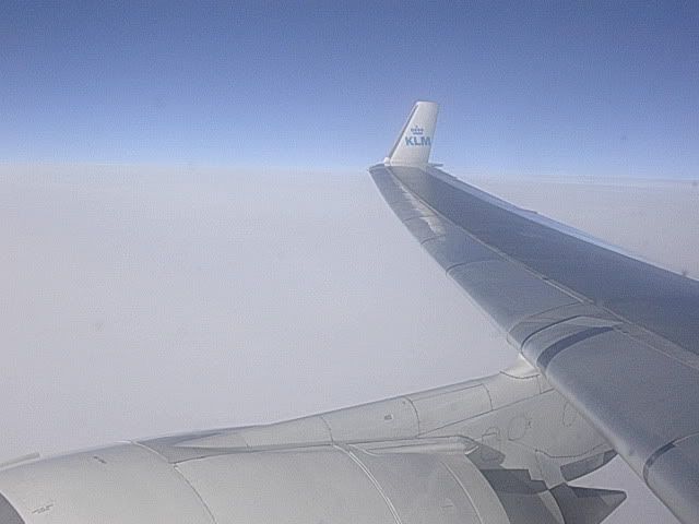 DSCN8801.jpg