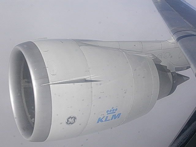 DSCN8802.jpg
