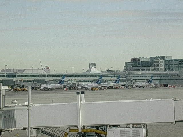 DSCN9535.jpg