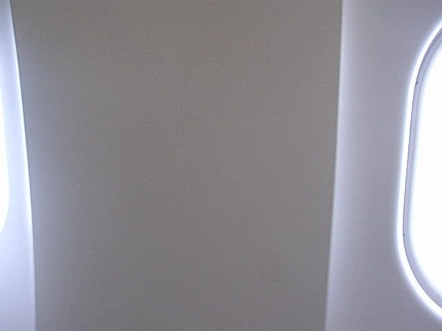 DSCN9542.jpg